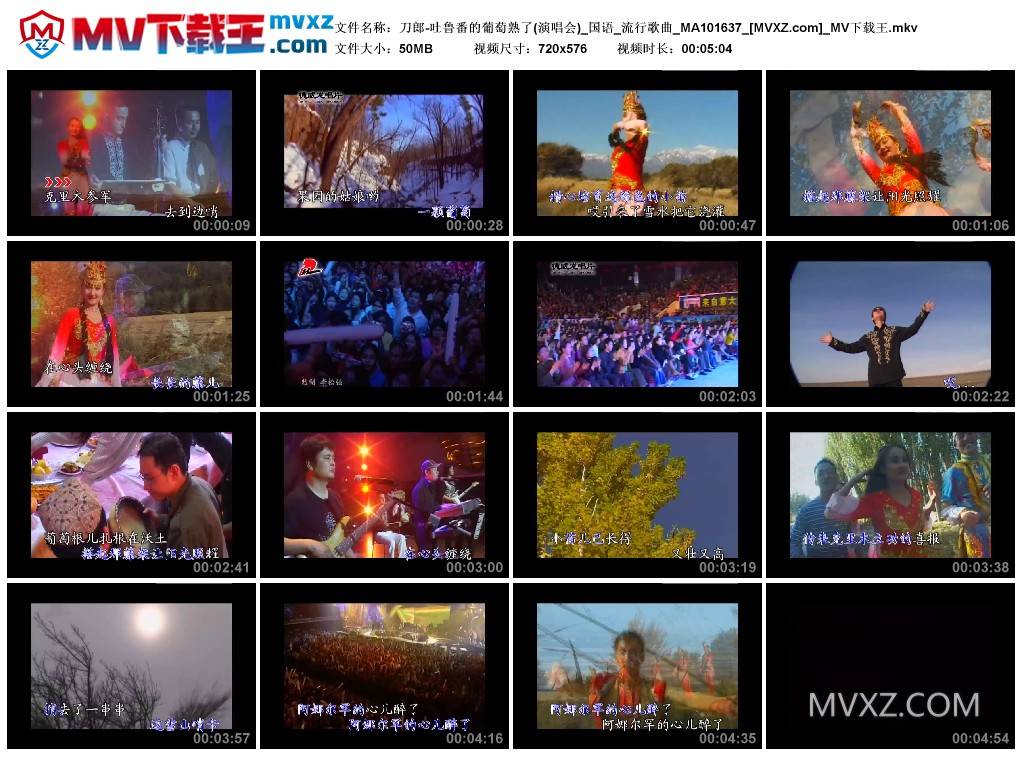 刀郎-吐鲁番的葡萄熟了(演唱会)_国语_流行歌曲_MA101637
